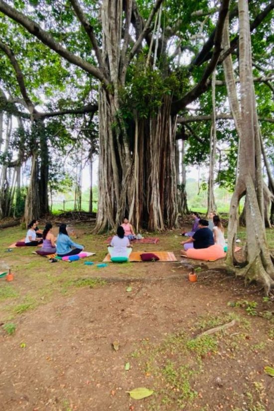 Yoga by the Banyan Tree at Tranquil Wild