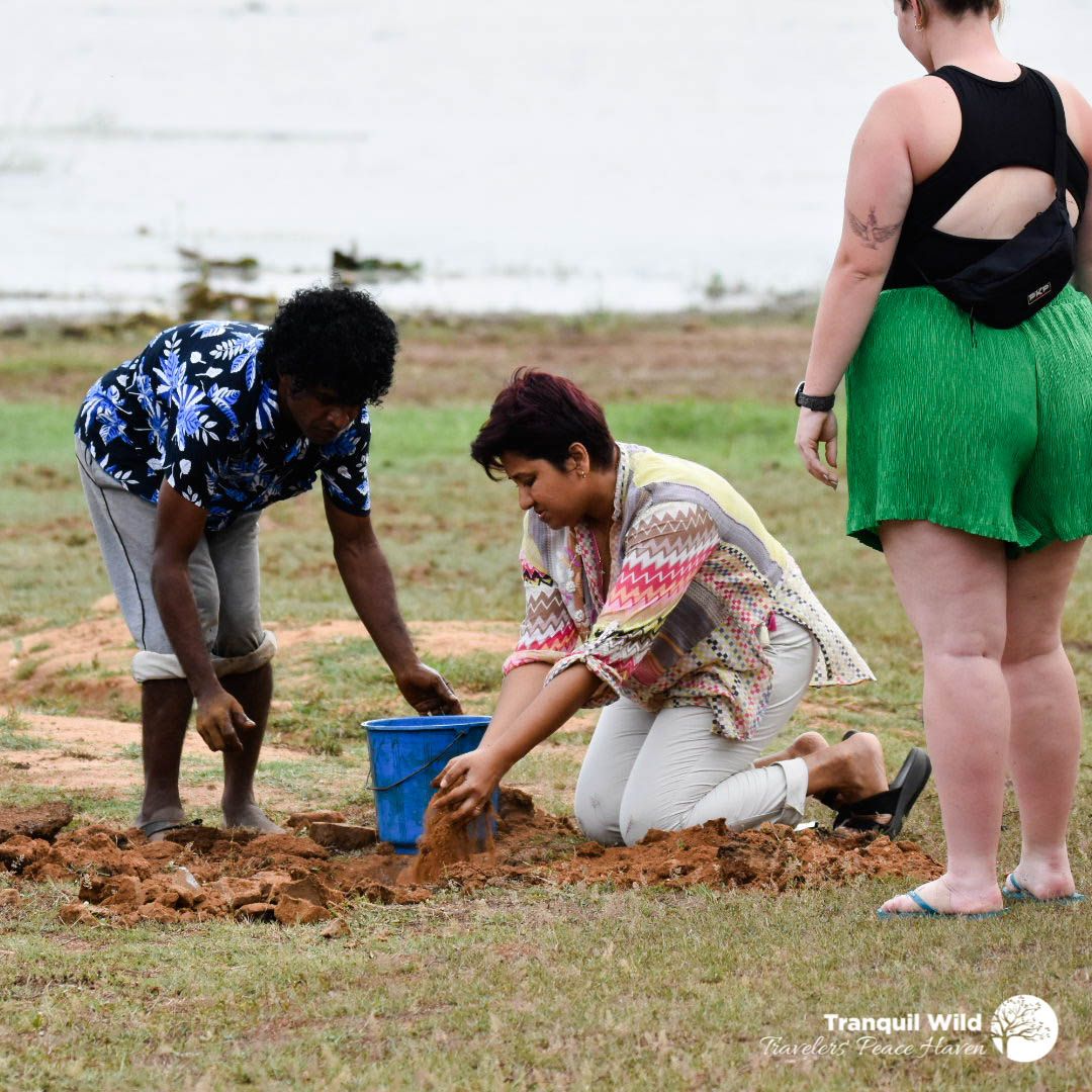Reforestation 1